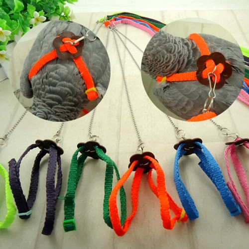 High quality Random Color Great Parrot Bird Harness Leash Adjustable Light Soft 
